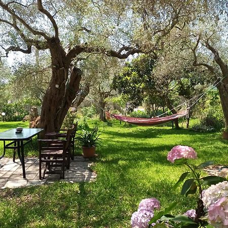Hotel George Chrysi Ammoudia Pokoj fotografie