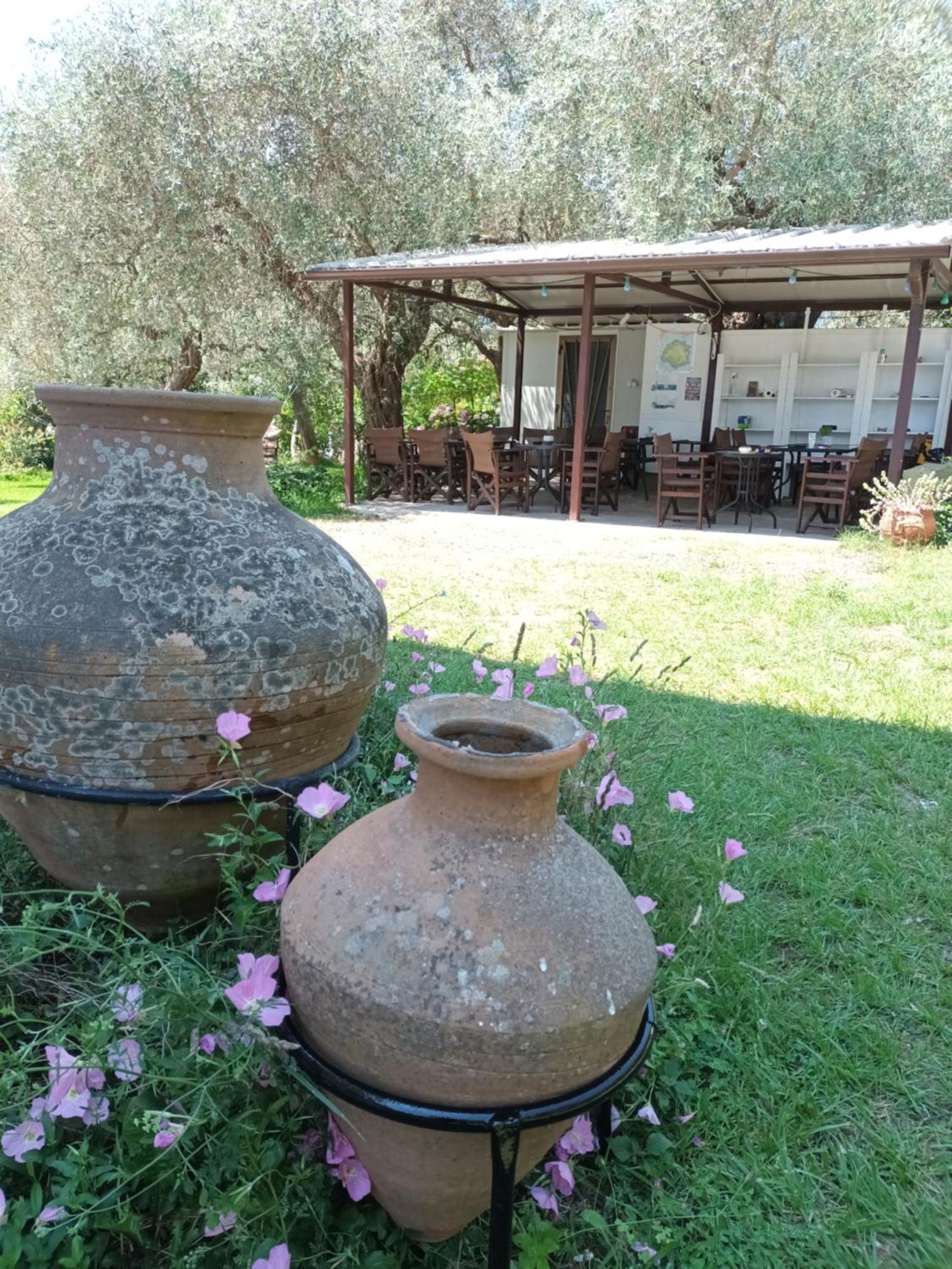 Hotel George Chrysi Ammoudia Pokoj fotografie