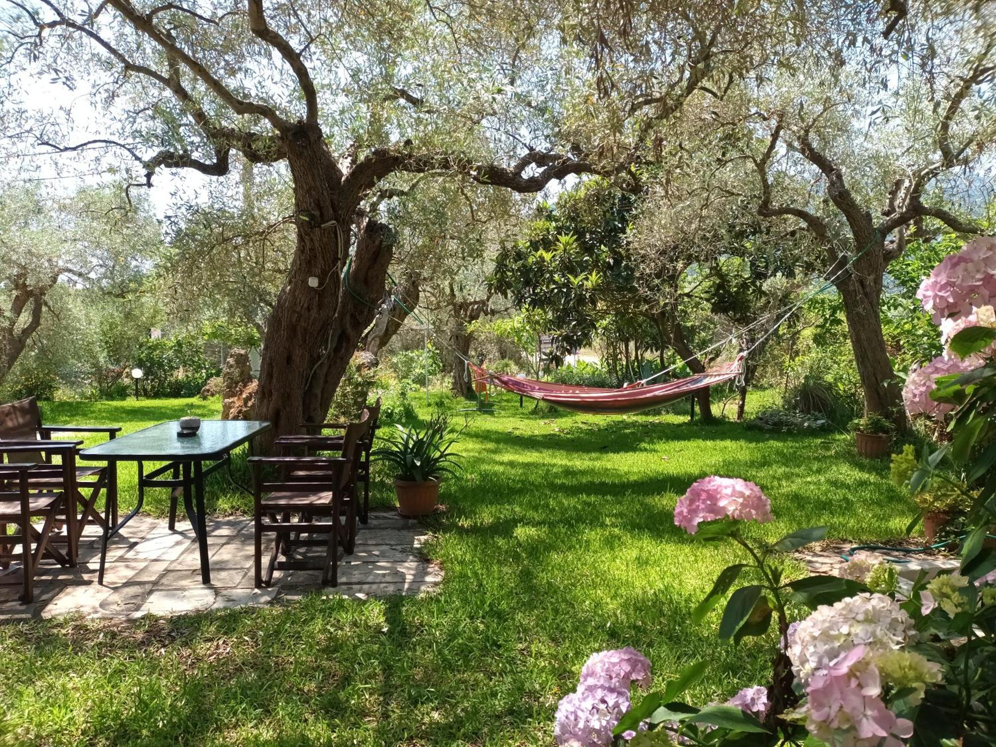 Hotel George Chrysi Ammoudia Pokoj fotografie