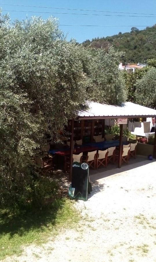 Hotel George Chrysi Ammoudia Exteriér fotografie
